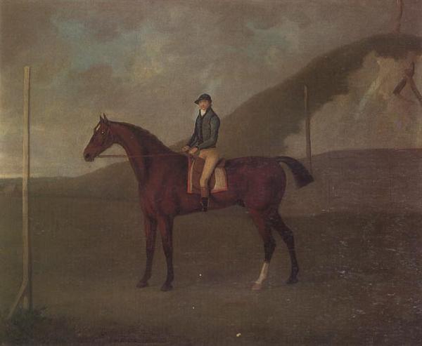 John Nost Sartorius 'Creeper' a Bay colt with Jockey up at the Starting post at the Running Gap in the Devils Ditch,Newmarket Sweden oil painting art
